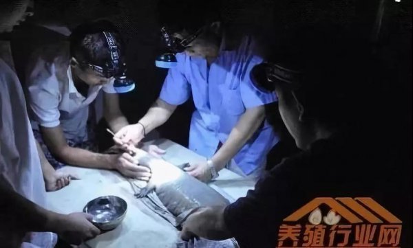 資本試水區(qū)塊鏈生物科技+大健康，場景應(yīng)用時(shí)代已然來臨！